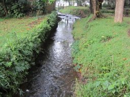 Visite de la petite cousine !